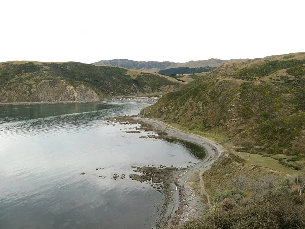 Makara_beach