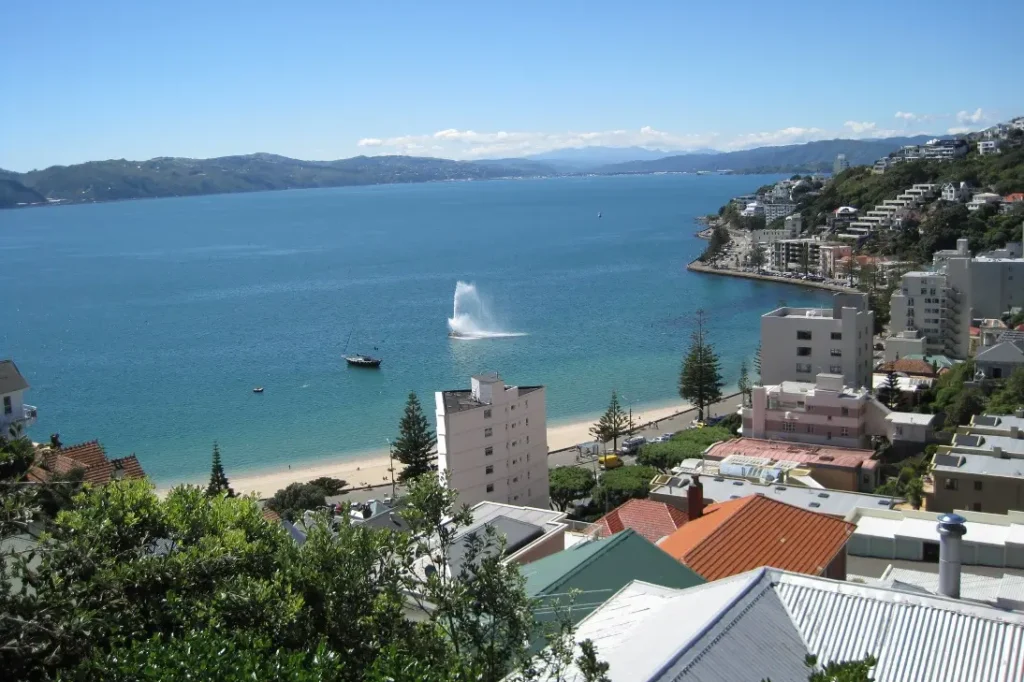 oriental bay beach in wellington