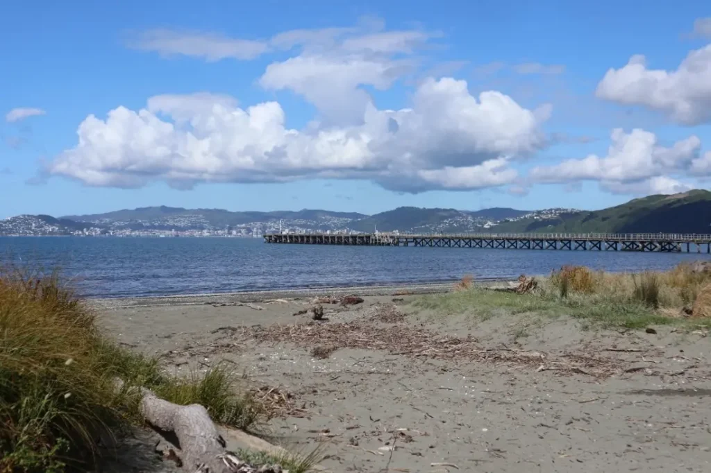 wellington beaches Petone Beach 