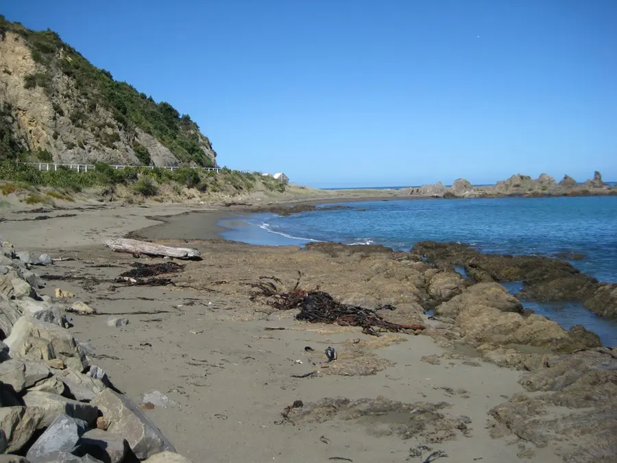 Princess Bay Beach wellington beach