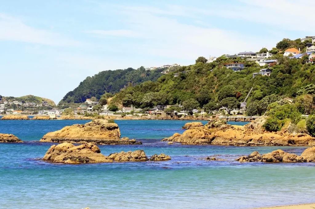 wellington beaches