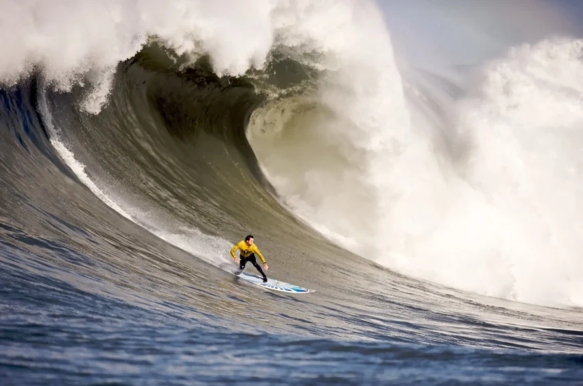 Surfing in wellington beaches